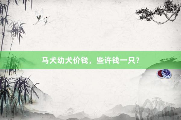 马犬幼犬价钱，些许钱一只？